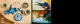 LEGO ICONS Kingfisher Bird #9