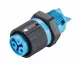 Wieland Electric 46.031.5054.9