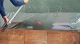 TESA Easy Cover Perfect+ #5