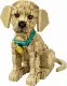 LEGO ICONS 11384 #4