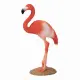 Mojo Fun American Flamingo #4