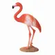 Mojo Fun American Flamingo #3