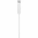 Renkforce RF-5043830 #2