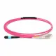 Lanview LVO230501-MTP