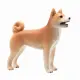 Mojo Fun Shiba Inu #5