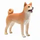 Mojo Fun Shiba Inu #3