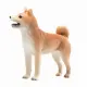 Mojo Fun Shiba Inu #2