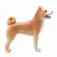 Mojo Fun Shiba Inu #4