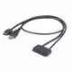 Akasa Flexstor eSATA USB