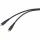 Renkforce RF-6662038