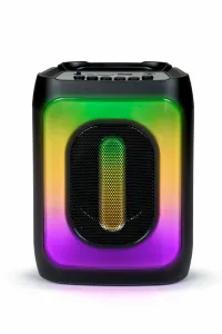 Bigben Interactive PARTYBTHPS2