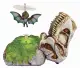 MGA Entertainment GrossMos Flying Style 2 (Green) #5