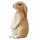 Mojo Fun Rabbit Sitting #4