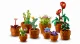 LEGO Botanicals Tiny Plants #3
