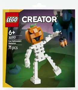 LEGO Creator 30717