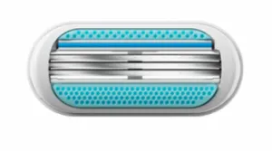 Gillette Venus Smooth