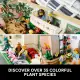 LEGO Ideas The Botanical Garden #7