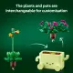 LEGO Botanicals Rocking Plants #16