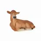 Mojo Fun Jersey Calf lying Down #3