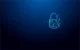 Kingston Technology IronKey Vault Privacy 50 #5