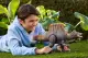 Mattel Jurassic World JGB56 #7