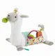 Fisher-Price GHJ03