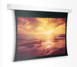 Da-Lite 10800133