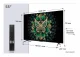 TCL C6K 55C6K #2