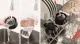 Bosch VitaPower MMB2111M #6