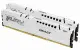 Kingston Technology FURY Beast
