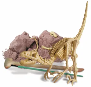 DAM 5613234