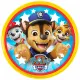 Sombo Wurfscheibe Paw Patrol