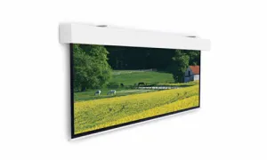Da-Lite Elpro large Electrol