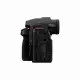 Panasonic Lumix G9 II + Lumix 12-60mm F3.5-5.6 #9