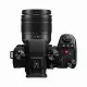 Panasonic Lumix G9 II + Lumix 12-60mm F3.5-5.6 #2