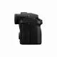 Panasonic Lumix G9 II + Lumix 12-60mm F3.5-5.6 #8