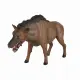 Mojo Fun Entelodont Daeodon #2