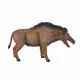Mojo Fun Entelodont Daeodon #4