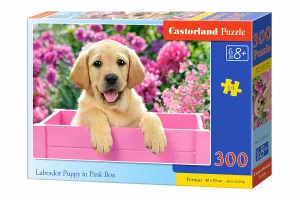 Castorland Labrador Puppy in Pink Box 300 pcs