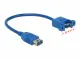 DeLOCK 0.25m 2xUSB3.0-A #2