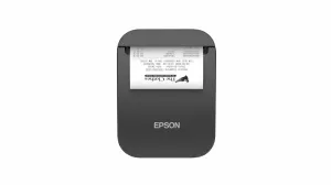 Epson TM-P80II (111)