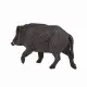 Mojo Fun Wild Boar #5