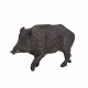 Mojo Fun Wild Boar #2