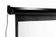 Elite Screens Spectrum Series Spectrum 110"