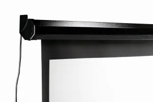 Elite Screens Spectrum Series Spectrum 110"