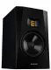 Adam Audio T7V