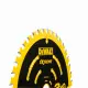 DeWALT DT10301-QZ #2