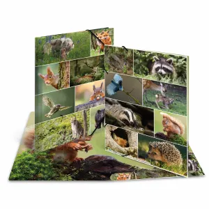 HERMA Sammelmappe A3 Waldtiere