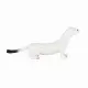 Mojo Fun Ermine
