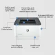 HP LaserJet Pro 3002dw Printer #9